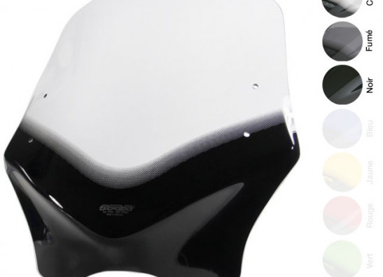 Windscreen BMW R 1150 R