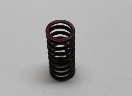 Koppeling Kawasaki ZZR 1100