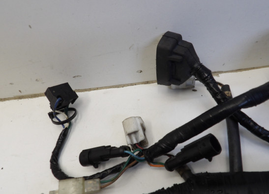 Kabelboom Honda CBR 600 F