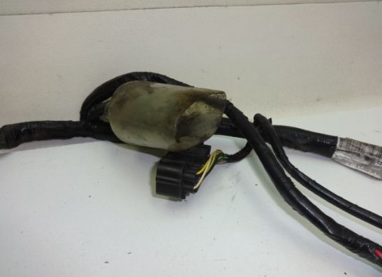 Kabelbaum Honda CBF 600