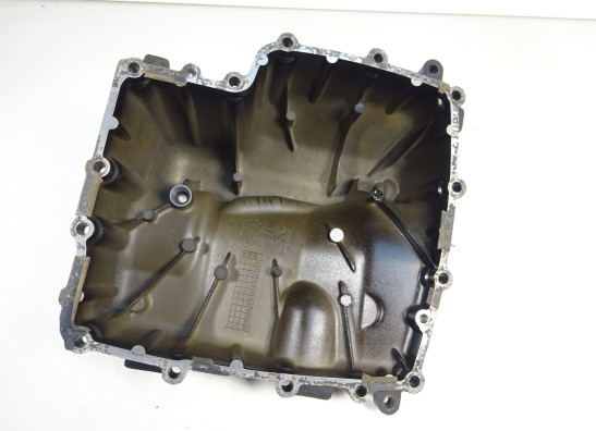 Carterpan Triumph Street Triple 675