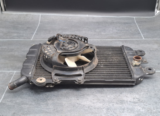 Radiateur Kawasaki VN 700  750