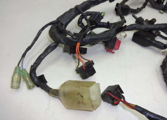 Kabelbaum Kawasaki ZX 6 R