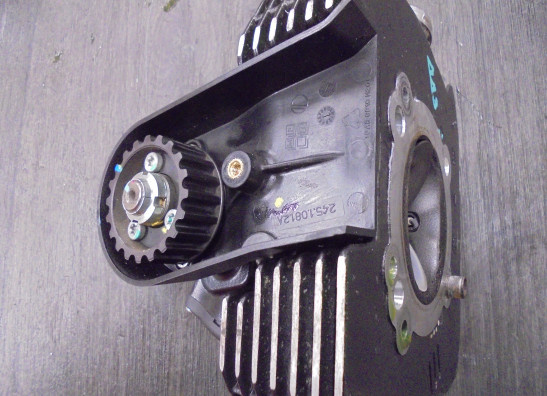 Cilinderkop Ducati Scrambler