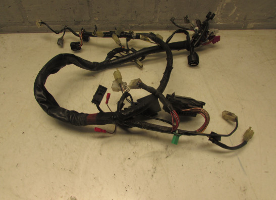 Wire Harness Yamaha FAZER 600