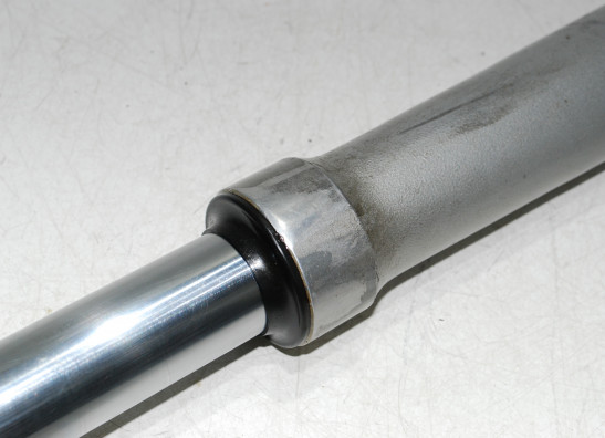 Standrohr Gabelholm links komplett BMW R 1100 GS