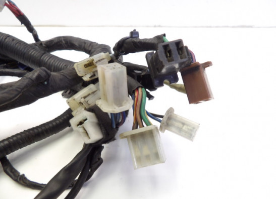 Kabelboom Yamaha TRX 850