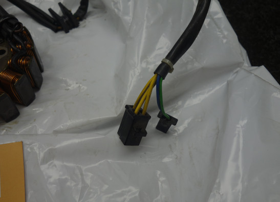 Dynamo Suzuki SV 1000