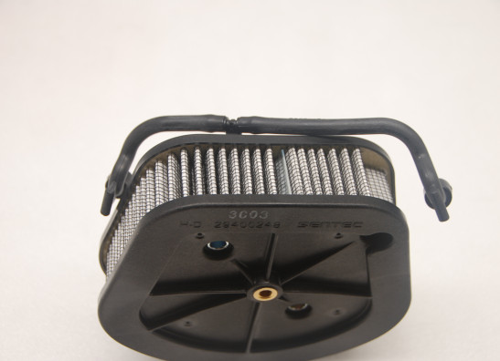 Luchtfilter Harley Davidson Softtail