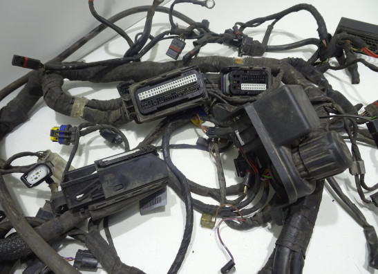 Kabelbaum BMW R 1200 RT