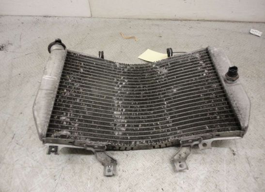 Radiator Suzuki GSX R 1000