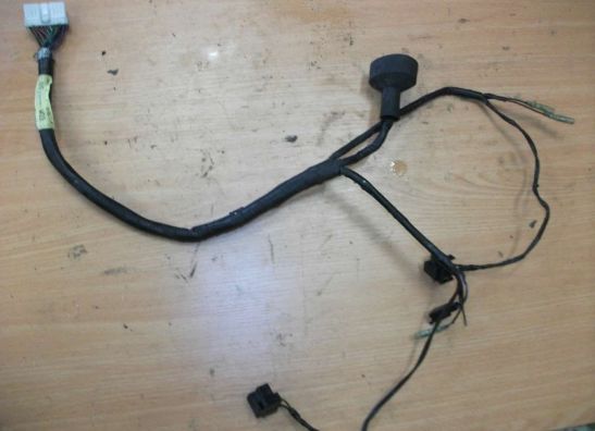 Wire harness front Yamaha FAZER 600