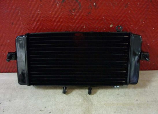 Radiateur Suzuki GW 250 Inazuma