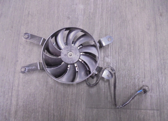 Fan Triumph Trident 660