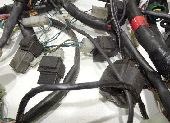 Wire Harness Aprilia Falco