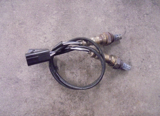 Lambda sensor Ducati Scrambler Cafe Racer