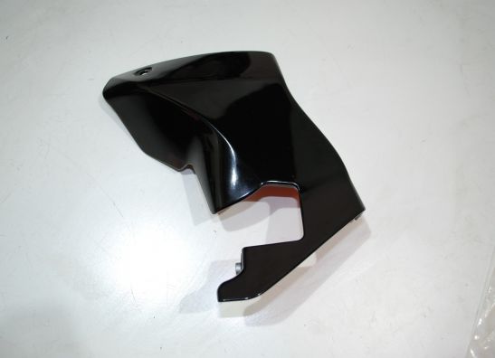 Fairingpart Aprilia Tuono 1000
