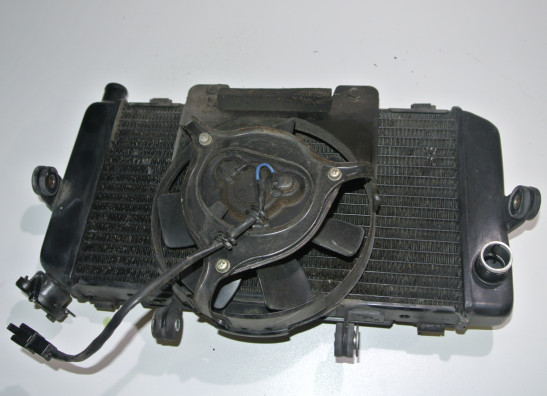 Radiator Yamaha TDM