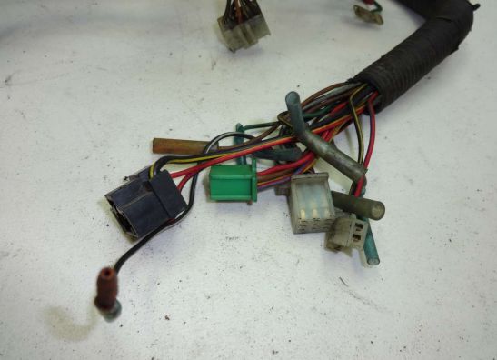 Wire Harness Kawasaki EL 250