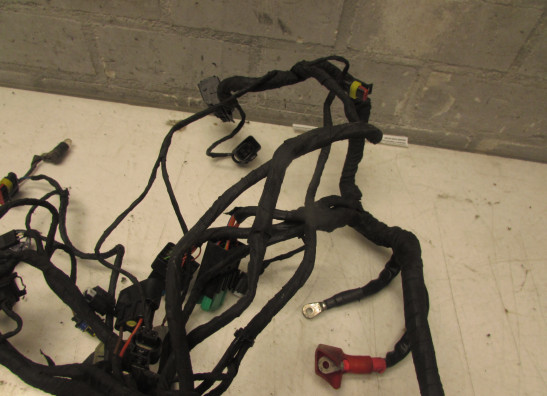 Kabelboom BMW C 650 GT