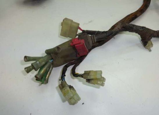 Kabelbaum Honda TRANSALP