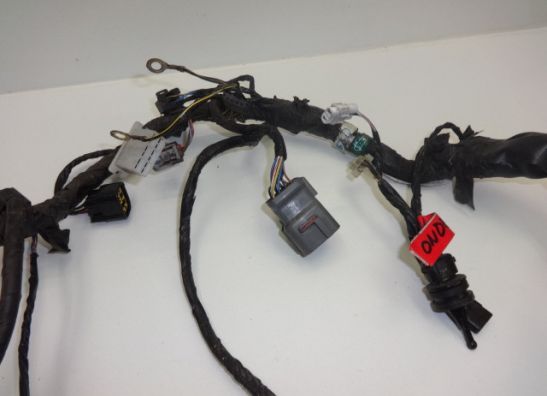 Kabelbaum Kawasaki Z 750