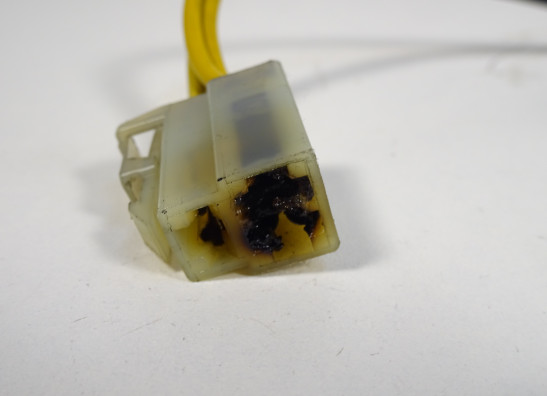 Dynamo Ducati monster 600