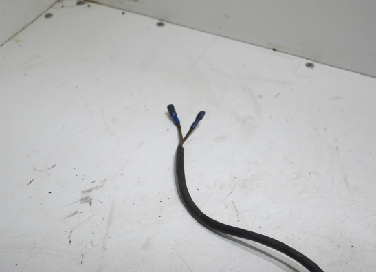 Dynamo Ducati monster 900