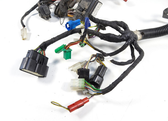 Kabelboom KTM 125 Duke