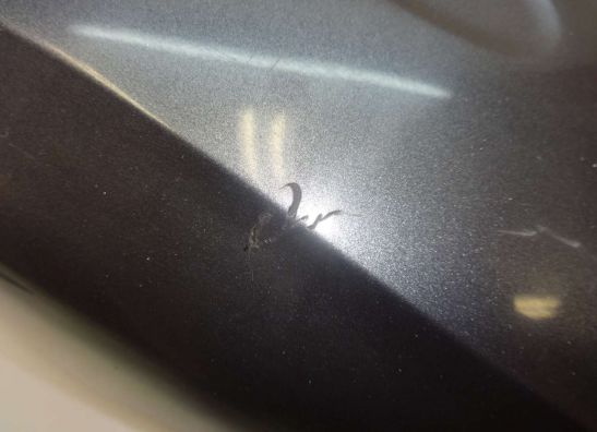 Voorspatbord Suzuki GSX F 1100