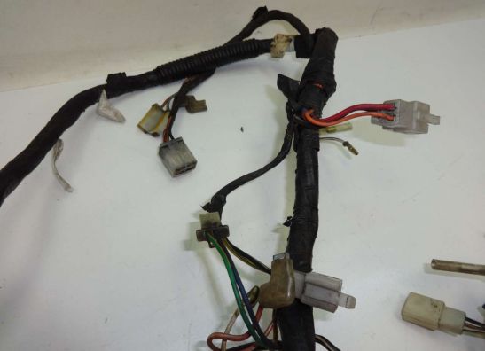 Wire Harness Suzuki VX 800
