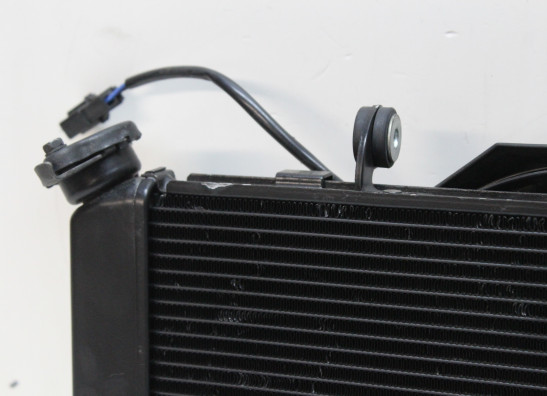 Radiateur Yamaha MT 09