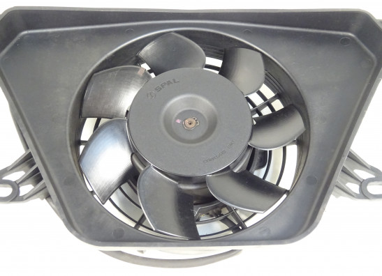 Fan BMW K 1200 S 