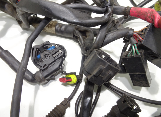 Kabelboom Ducati Monster S4