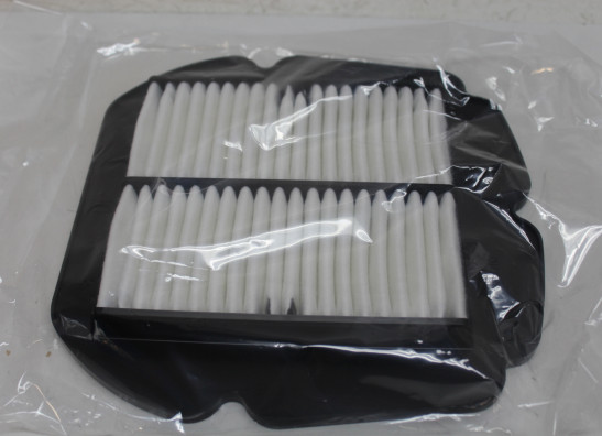 Air cleaner Suzuki SV 650