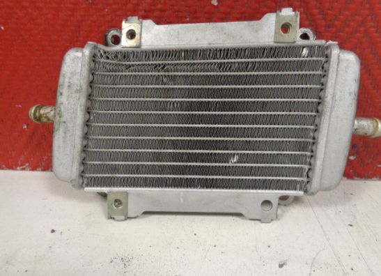 Radiateur Vespa Gts 300 2003-2005