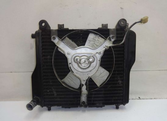 Radiateur Kawasaki GPZ 1000