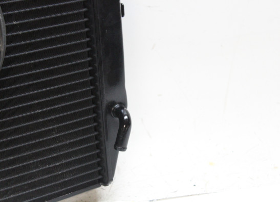 Radiateur Triumph Daytona 675 