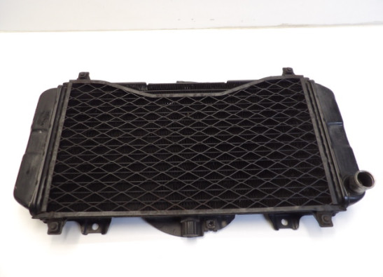 Radiateur Yamaha FZR 600