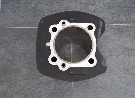 Zylinderkopf Harley Davidson FLSTF Fat Boy