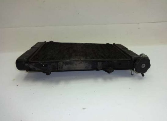 Radiator Kawasaki ZX 6 R