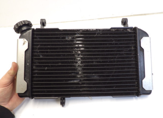 Radiateur Suzuki SV 650 1998-2002