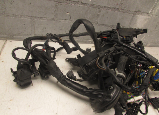 Kabelboom BMW K 1200 RS