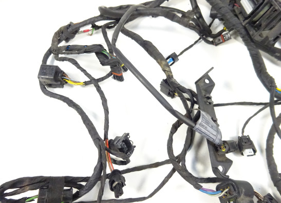 Kabelboom BMW R 1200 RT