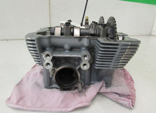 Cilinderkop Harley Davidson Overige Harley Davidson