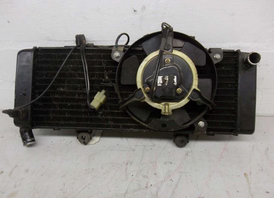 Kuhler Honda CBR 600 F