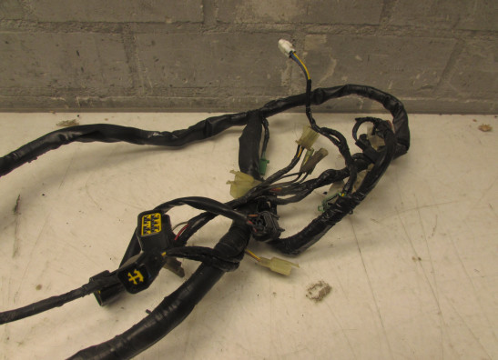 Kabelboom Yamaha YZF 600 Thundercat