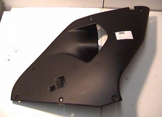 Seitenverkleidung rechts klein Aprilia RSV 1000
