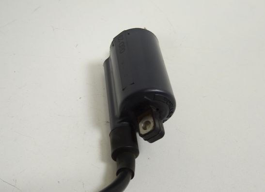 Bobine Ducati Monster 800