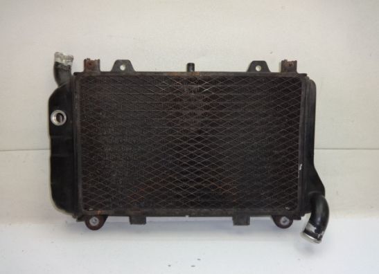 Kuhler Kawasaki ZZR 600